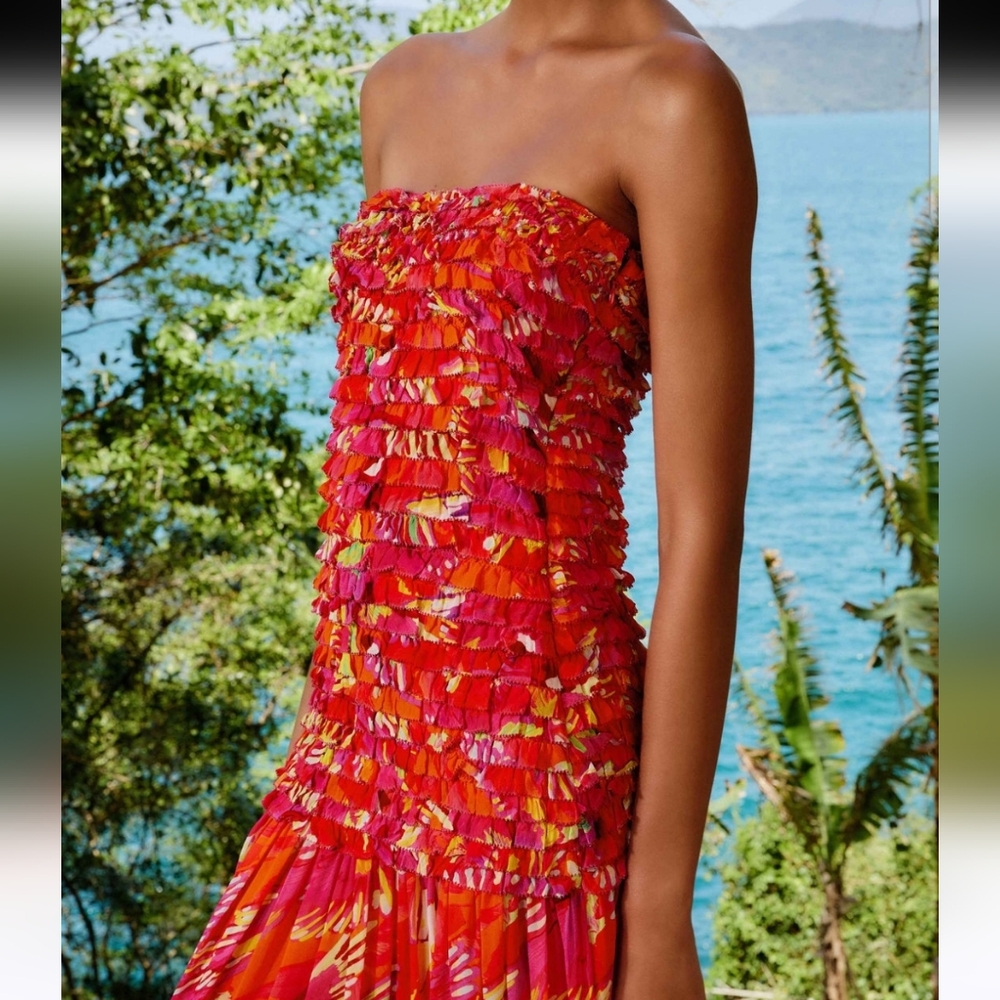Farm Rio Dress - Picture 3 of 11